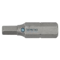 Бита под внутр шестигранник со штифтом HEX6 | «ТАТМЕТИЗ» Бита под внутр шестигранник со штифтом HEX6 - магазин крепежа «ТАТМЕТИЗ»