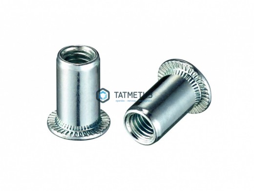 Заклепка резьбовая цилиндрический борт М 5 ( 500 шт/уп) КL | «ТАТМЕТИЗ» Заклепка резьбовая цилиндрический борт М 5 ( 500 шт/уп) КL - магазин крепежа «ТАТМЕТИЗ»