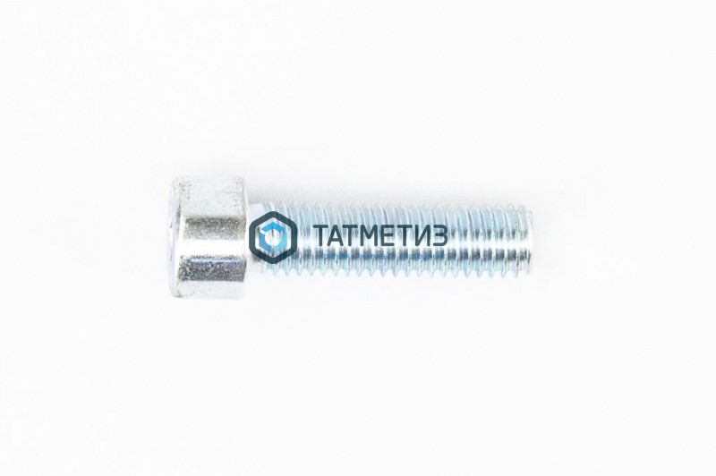 Винт с внутр 6-гр DIN 912, оц 8х 30 (уп 25 кг/ 1530 шт)* Винт с внутр 6-гр DIN 912, оц 8х 30 (уп 25 кг/ 1530 шт)*